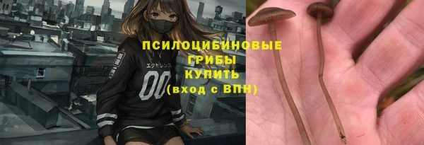 метадон Вяземский