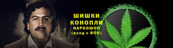 метадон Вяземский