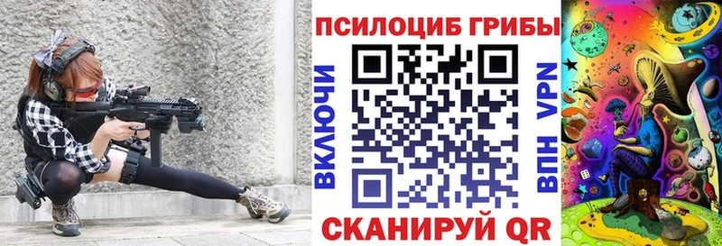 Купить закладки  Богучар  Псилоцибиновые грибы Psilocybine cubensis 
